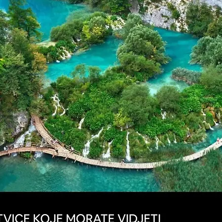 Vivan I Vitala Rijeka